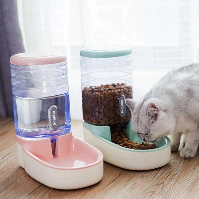 distributeur automatique croquette et eau pour chat