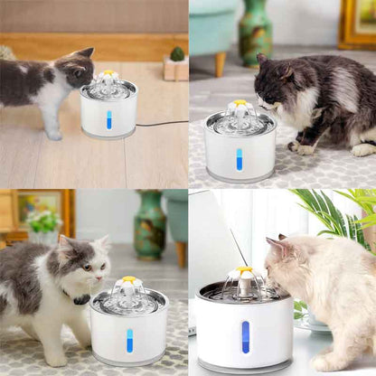 Fuente de agua para gatos 