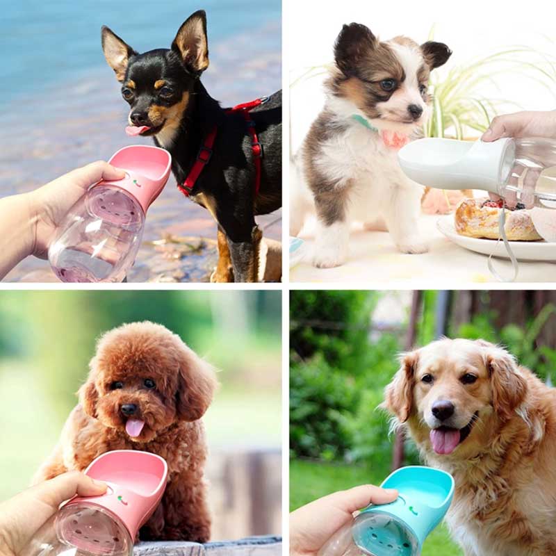Botella de agua para perros DoggyTravel™ 
