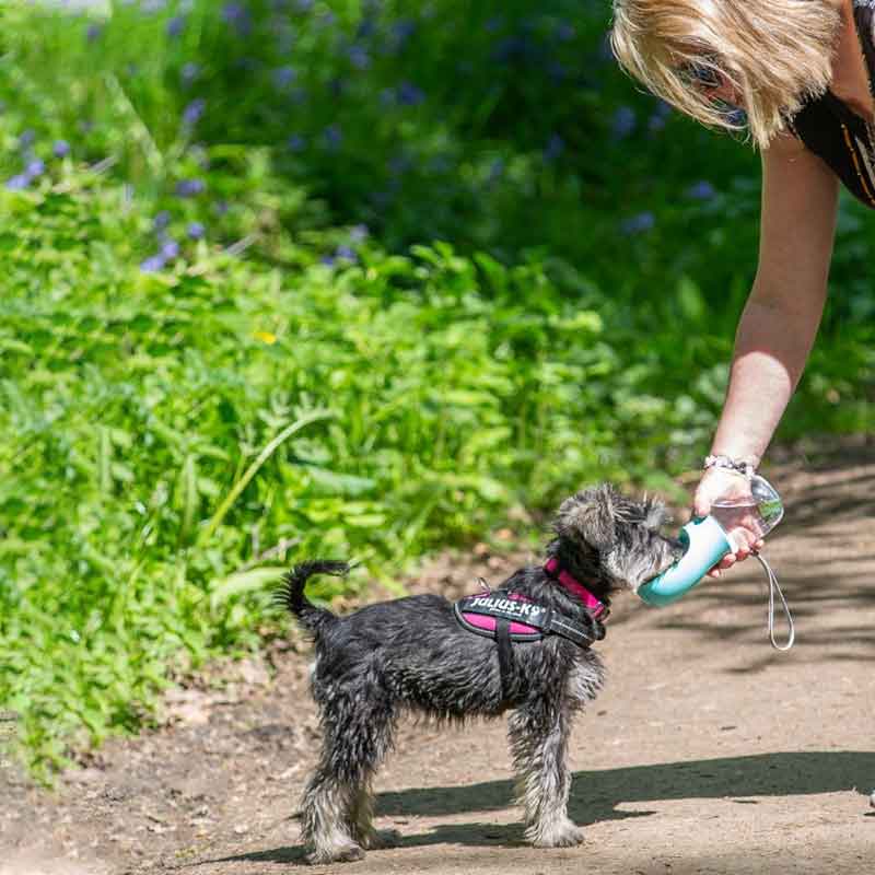 Botella de agua para perros DoggyTravel™ 