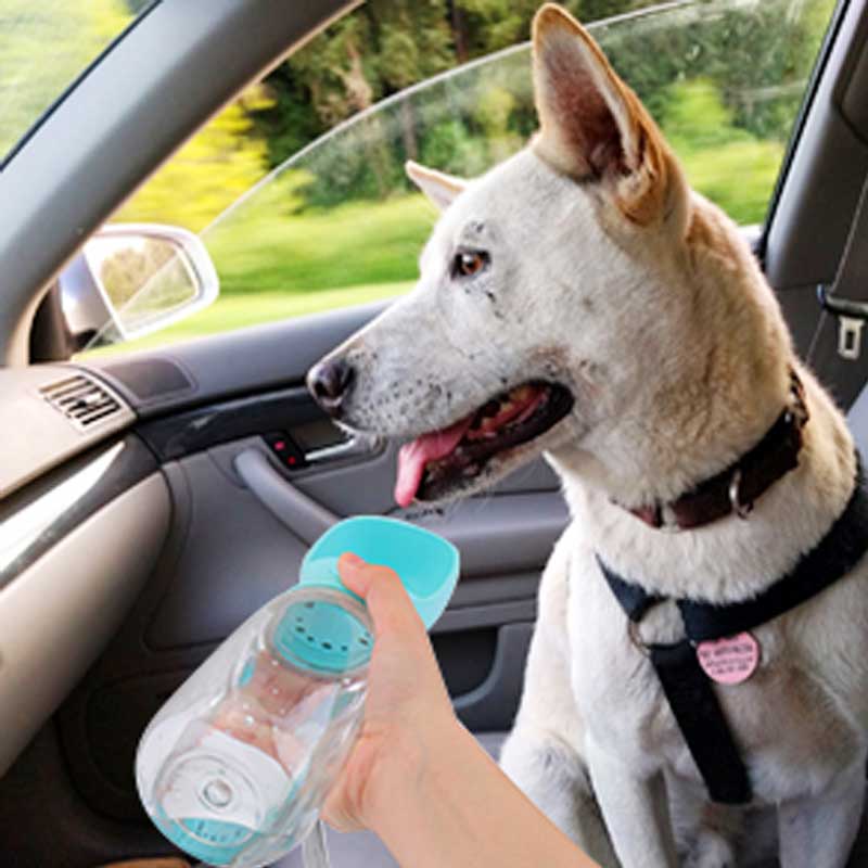 Botella de agua para perros DoggyTravel™ 